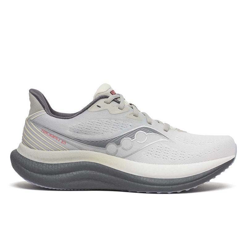 Men’s Triumph 23 Running Shoes GREY/SHADOW REGULAR 8.5